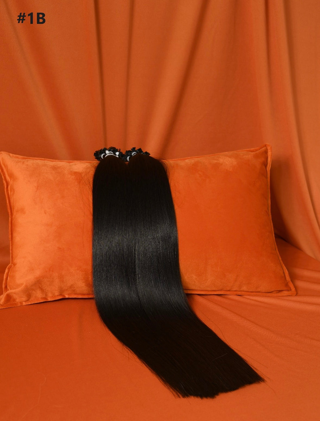 Lux Collection